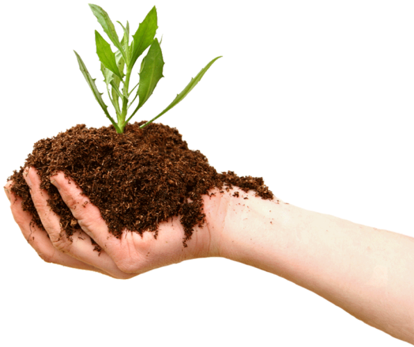 mazraestore.com-organic-food-organic-fertilizer-fertilisers-manure-organic-cotton-others